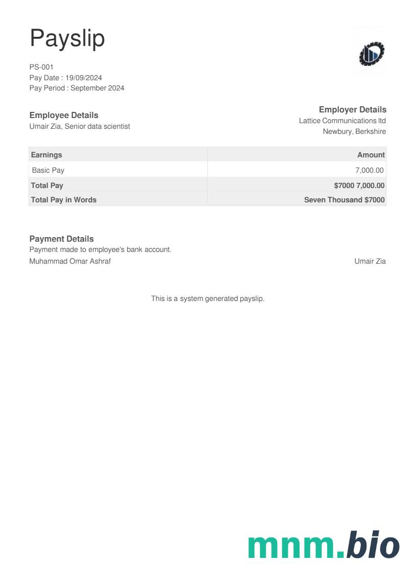 szablon payslip firmy testującej sprzęt w formatach Word i PDF